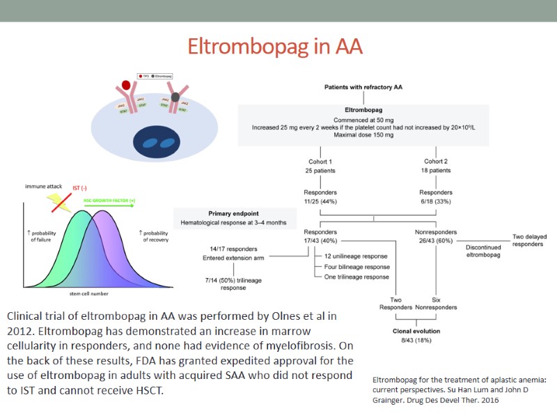 Eltrombopag in AA  Clinical trial of eltrombopag in AA was performed by Olnes